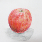 りんご　色鉛筆デッサン