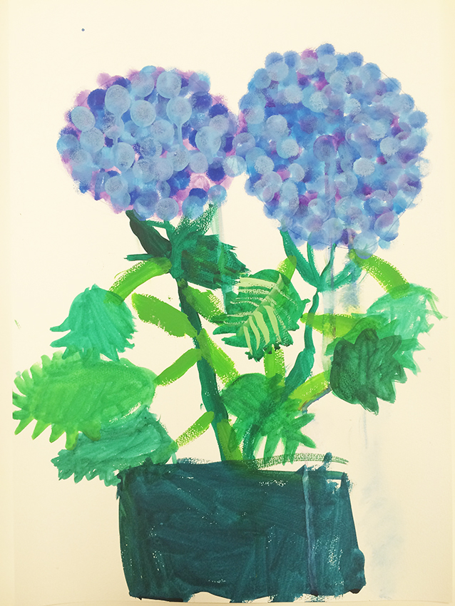 「紫陽花」水彩デッサン