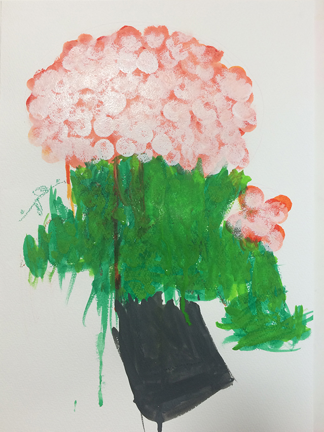 「ベコニア」水彩デッサン